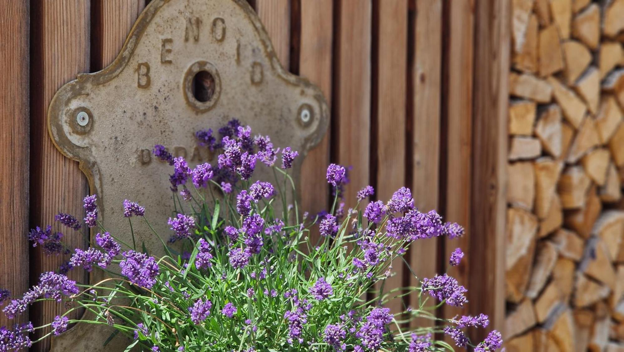 Nostalgie Bed & Breakfast Chraemerhus Curaglia Exterior photo